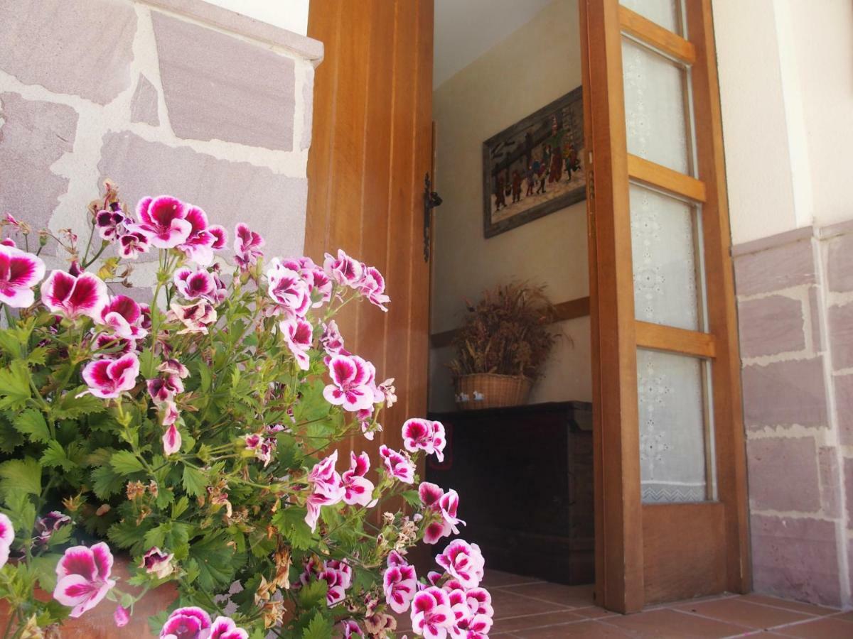Casa Rural Txolinenea Hostal Lantz Exterior foto
